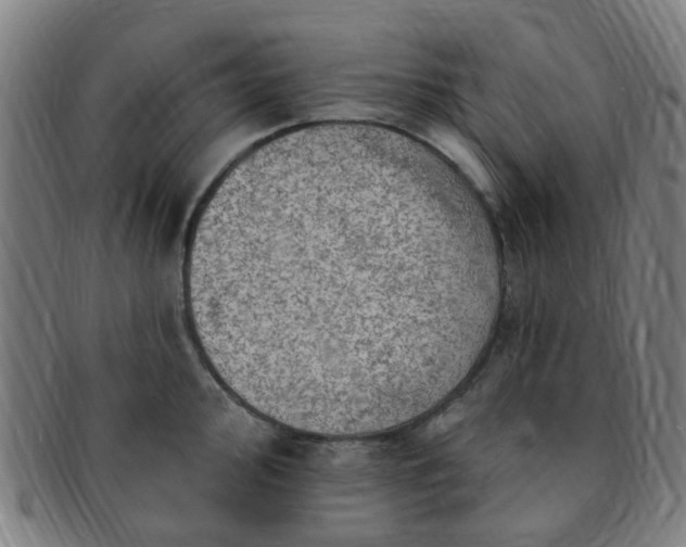 X0000091371000200708241329