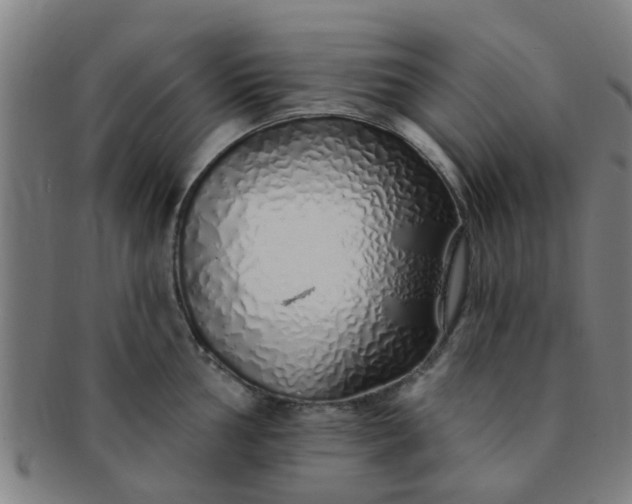 X0000091371002200708241329