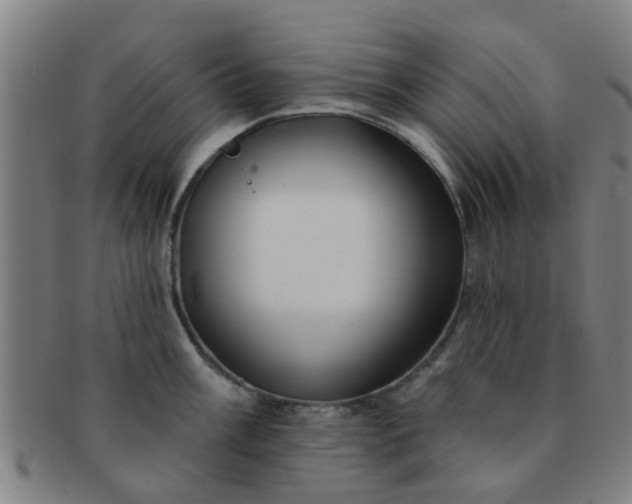 X0000091371003200708241329