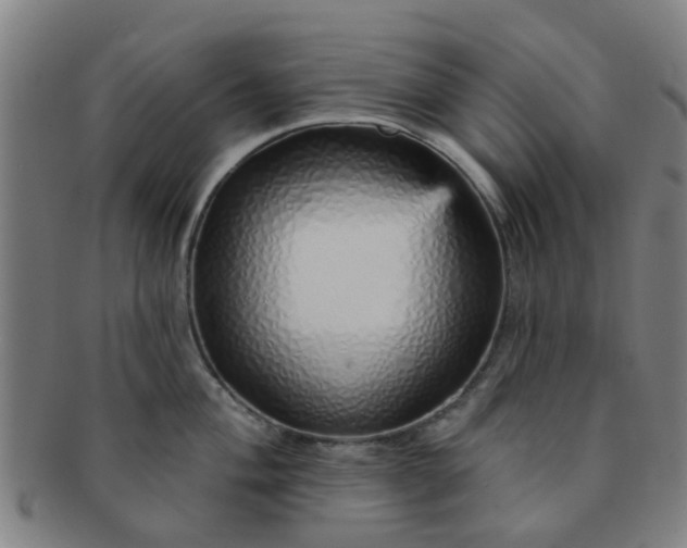 X0000091371004200708241329