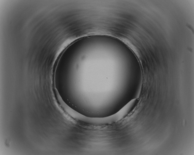 X0000091371005200708241329