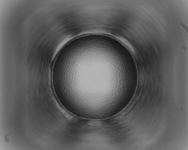 X0000091371006200708241329