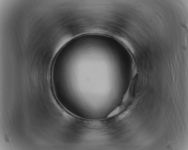 X0000091371007200708241329