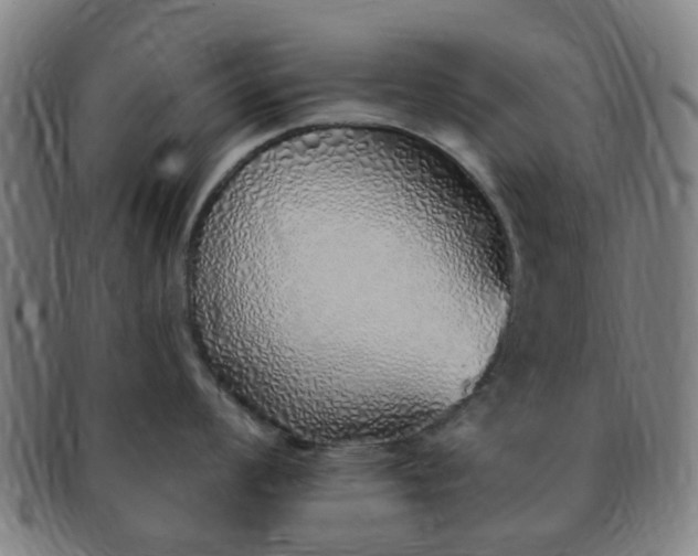 X0000091371008200708241329