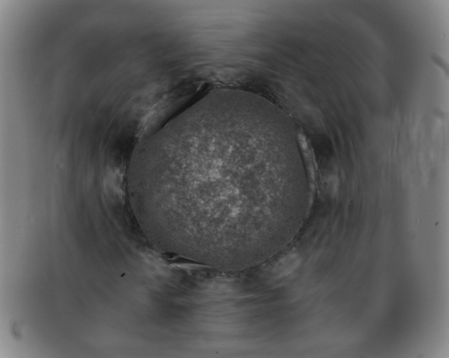 X0000091371010200708241328