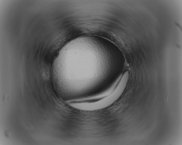 X0000091371012200708241328