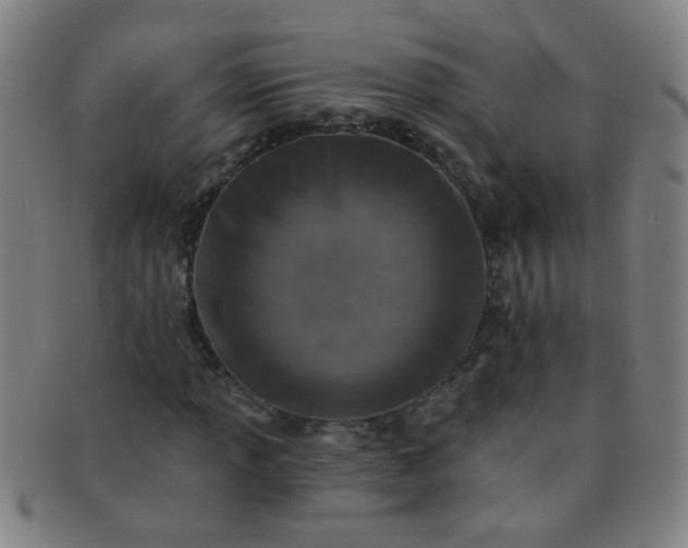 X0000091371013200708241328