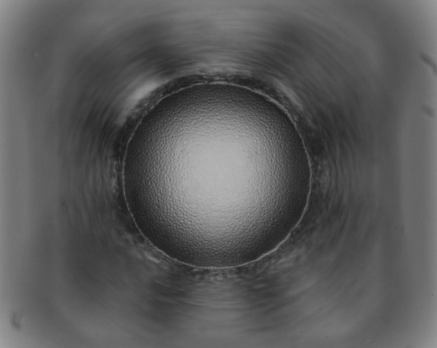 X0000091371016200708241328