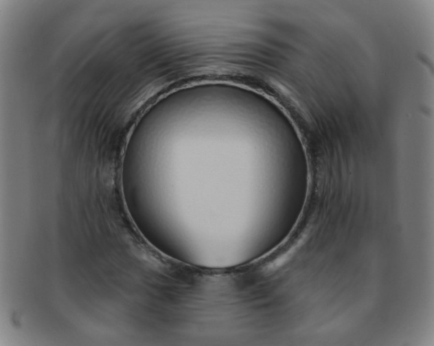 X0000091371017200708241328