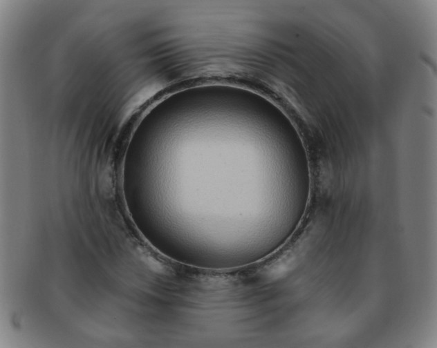 X0000091371018200708241328