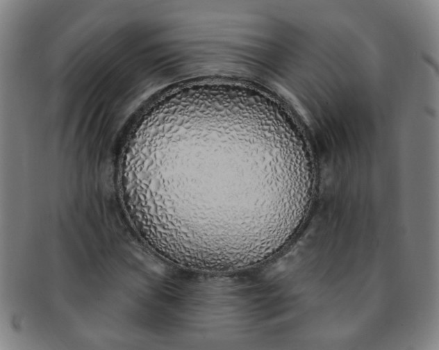 X0000091371019200708241328