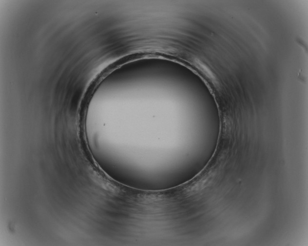 X0000091371020200708241328