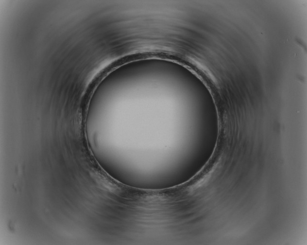 X0000091371021200708241328