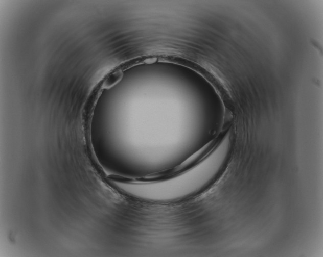 X0000091371022200708241328