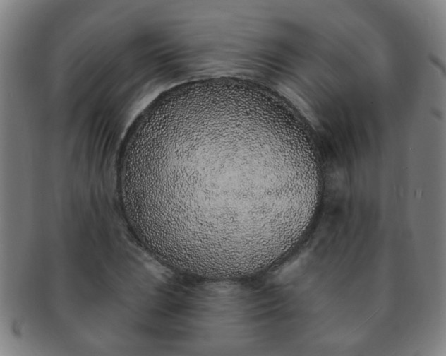 X0000091371023200708241328