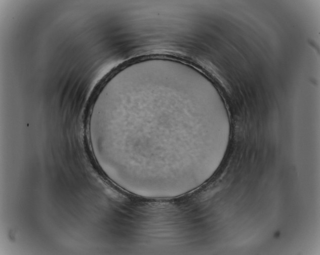 X0000091371024200708241328