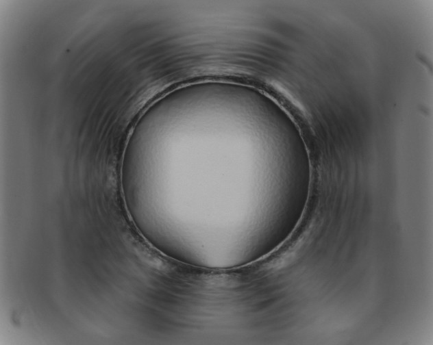 X0000091371025200708241328