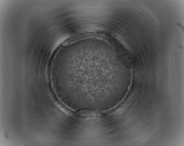 X0000091371026200708241328