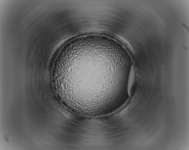 X0000091371027200708241328