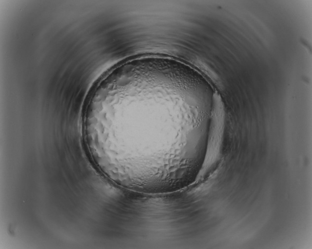 X0000091371028200708241328