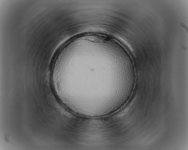 X0000091371029200708241328