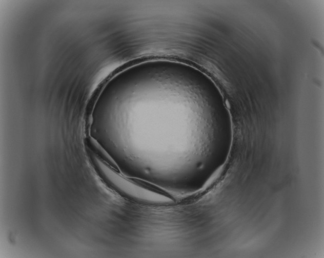 X0000091371030200708241328