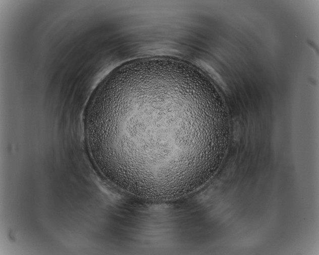 X0000091371031200708241328