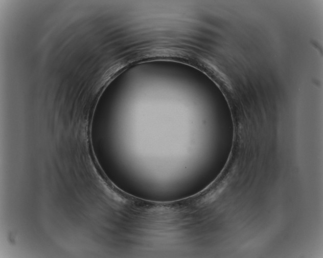 X0000091371033200708241328