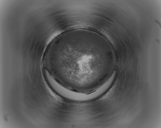 X0000091371034200708241328