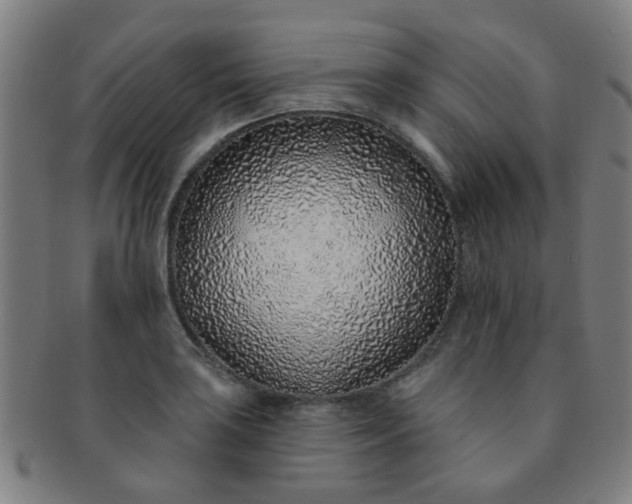 X0000091371035200708241328