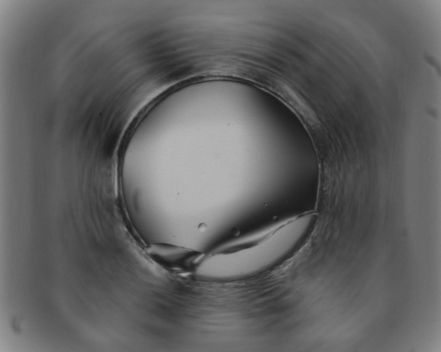 X0000091371036200708241328