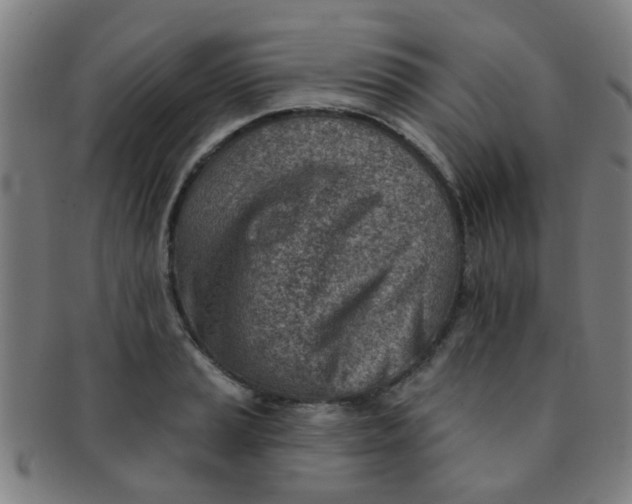 X0000091371037200708241328