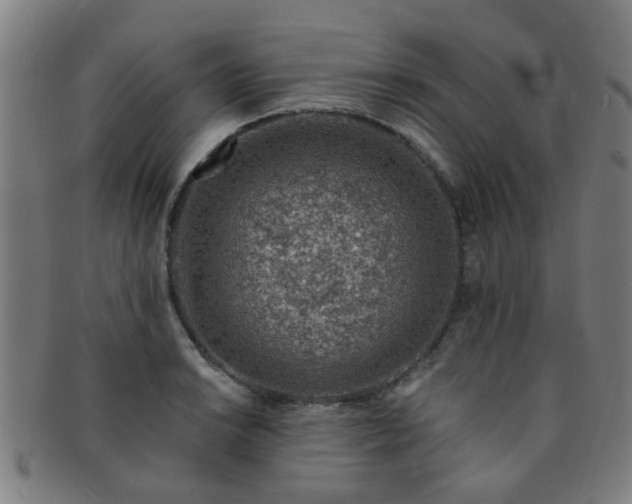 X0000091371038200708241328