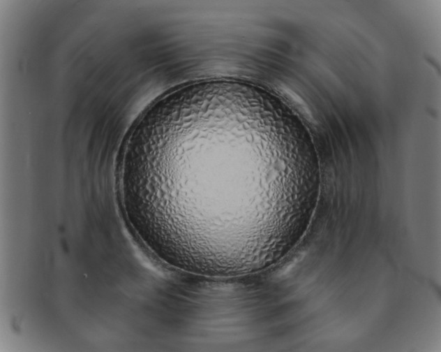 X0000091371039200708241328