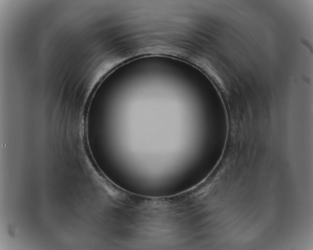 X0000091371040200708241328