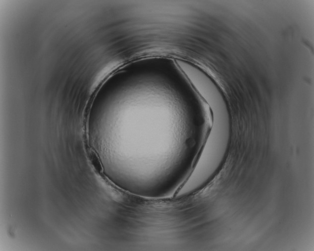 X0000091371042200708241328