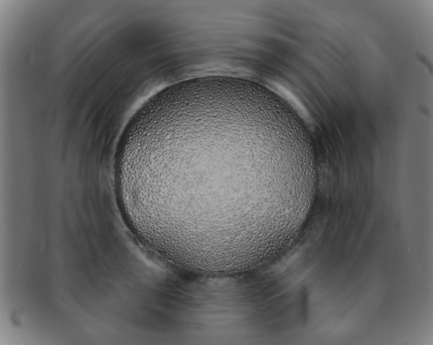 X0000091371043200708241328