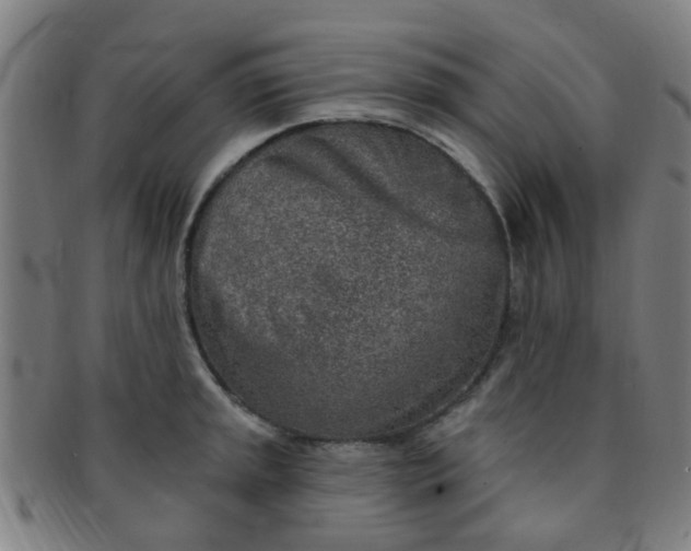 X0000091371045200708241329