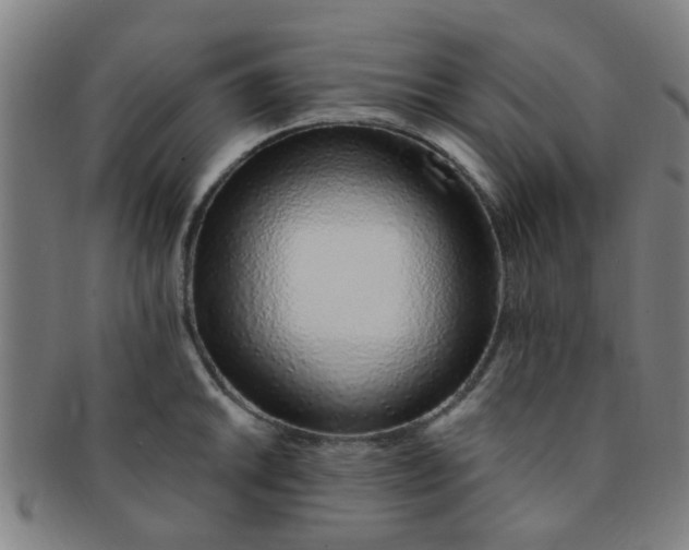 X0000091371046200708241329