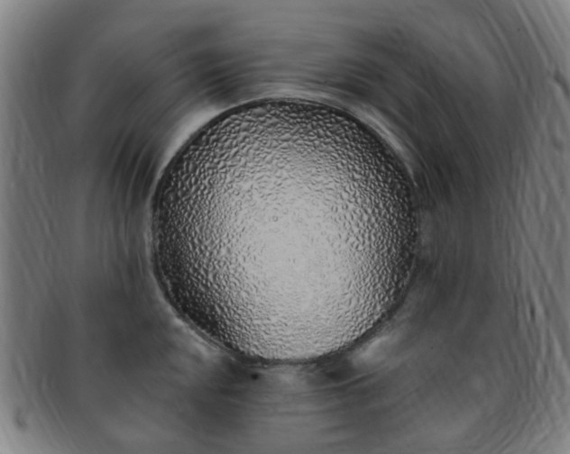 X0000091371048200708241329