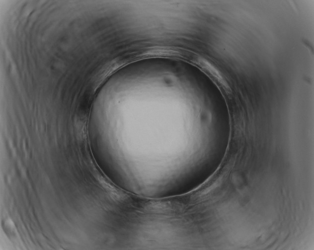 X0000091371049200708241329