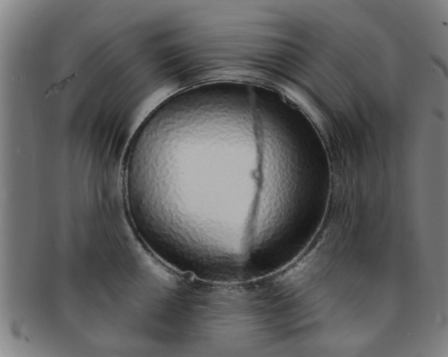 X0000091371050200708241329