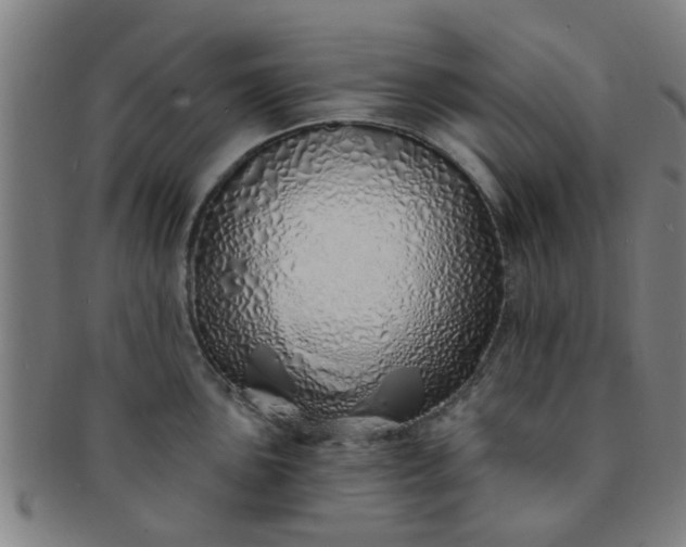 X0000091371051200708241329