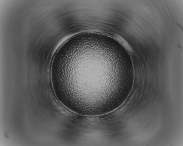 X0000091371052200708241329