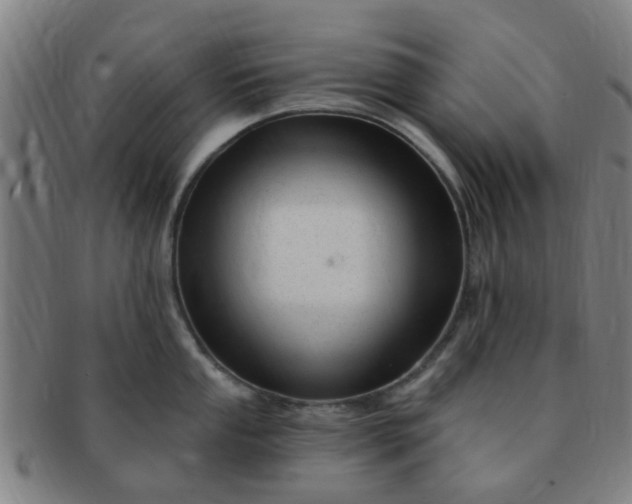 X0000091371053200708241329