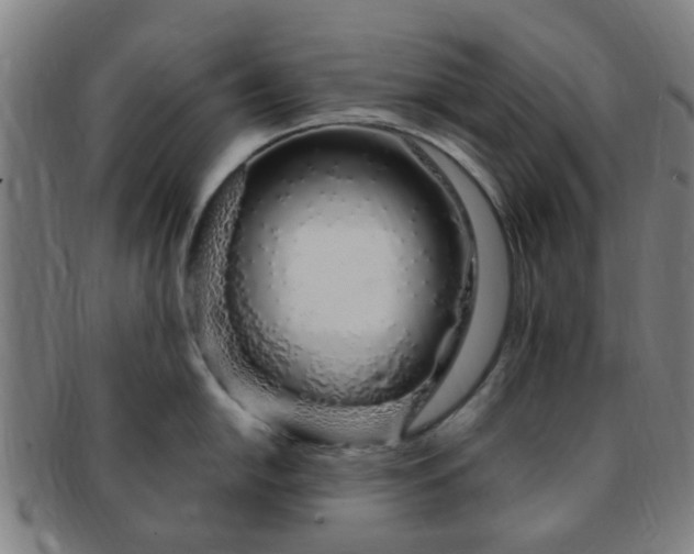 X0000091371054200708241329