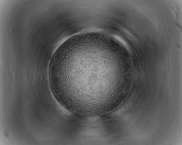 X0000091371055200708241329