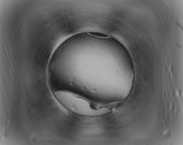 X0000091371056200708241329