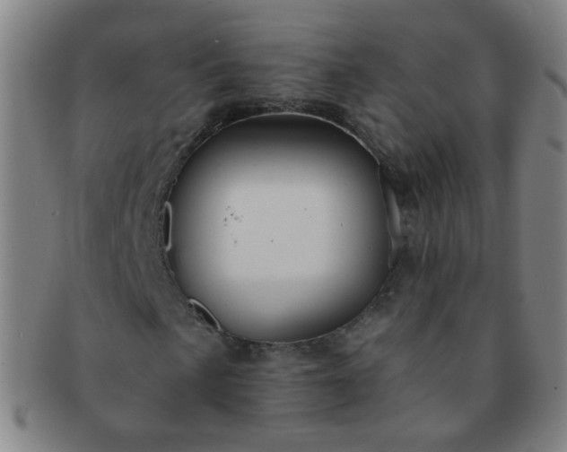 X0000091371057200708241328