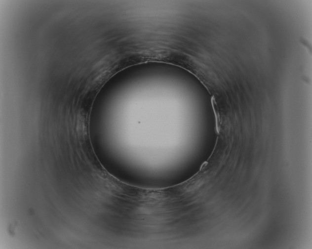 X0000091371058200708241328